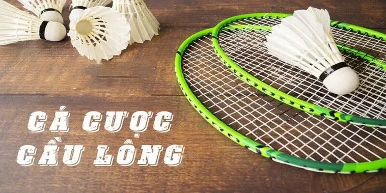 Cách Chơi Cá Cược Cầu Lông B52 Club Chi Tiết Từ A Đến Z Cho Người Mới