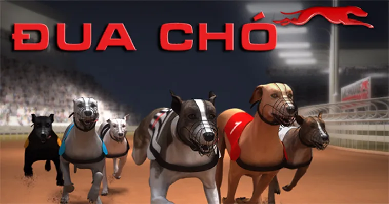 Cách Chơi Game Nhanh Đua Chó Tại B52 Club Với Mẹo Đặt Cược Hiệu Quả