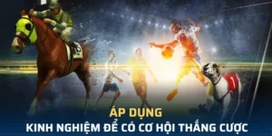Tìm Hiểu Cá Cược Thể Thao Ảo B52 Club Trải Nghiệm Nhanh Tỷ Lệ Hấp Dẫn